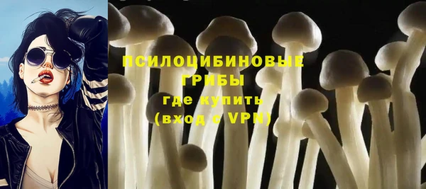 2c-b Абинск
