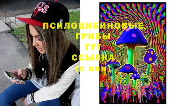 гидра Абдулино