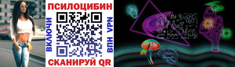 Псилоцибиновые грибы мицелий  Туринск 